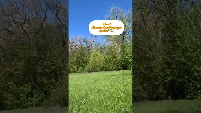 УРАА МЫ ВСТРЕТИЛИСЬ !! Уехала в другой город отмечать Пасху 🍬Поехали в лес со страшной легендой 🙀 смотреть онлайн