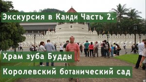 Путешествие в Шри Ланку. Храм зуба Будды. Королевский ботанический сад Перадения. Чайная фабрика.