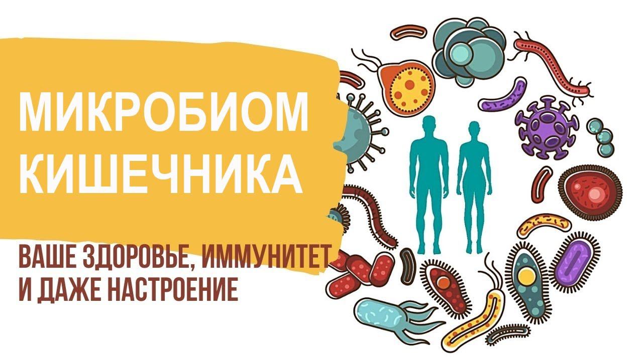 Микробиом кишечника.  Это важно для здоровья! Профессор Д.А.Валишин