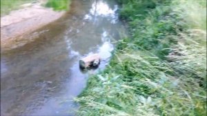 Река Котловка, протекает через парк Сосновка