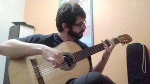 Los Flamencos del Zodiaco (Pegasus Fantasy - Flamenco Guitar Cover)