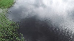 Каравелла 13.07.2019