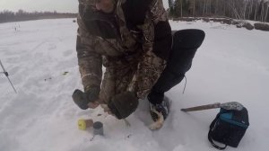 Эта рыба ломает удочки .Дикий язь чулыма не дает покоя !