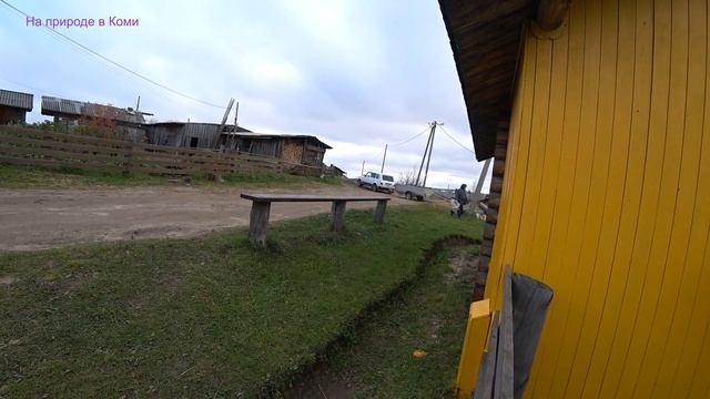 Будни Олега. Последний урожай с огорода.