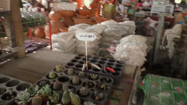 цветочный магазин в Паттае