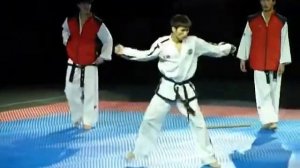 13. 2-й Дан. Уи-Ам Туль / Eui-Am Tul (Pattern) - Taekwon-Do ITF. DPRK demo team (Estonia) 2011.
