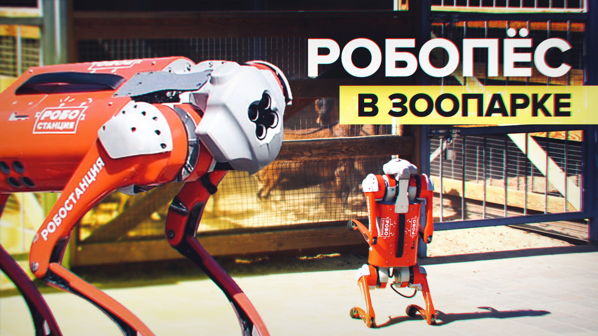Не лает и не кусает: в Московском зоопарке появилась робособака