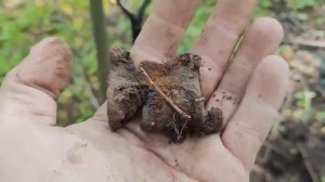 Рязанская область, домонгол. Коп осень 2023