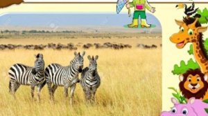 ФЦКМ (Экология). "Животные жарких стран ". Кумакова А.А.