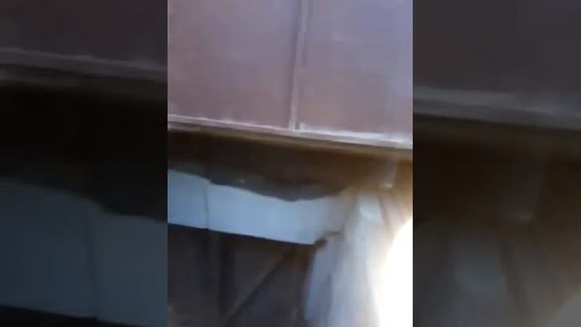Дом на улице Урицкого в г.Новосибирске