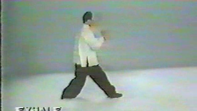 Длинная форма 108 движений Тайцзи Янь - мастера Ян Дзю Миня
