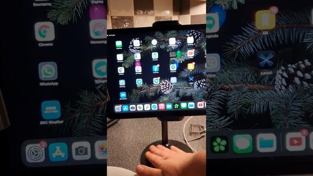 Apple iPad Pro