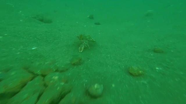 Японское море ? Приморский край. Город Находка