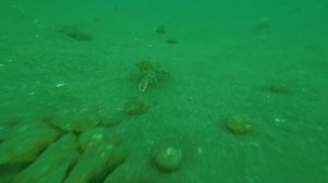 Японское море ? Приморский край. Город Находка