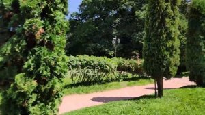 За 15 минут от Колоннады до Красного солнышка на ЭЛЕКТРОКАРЕ. #кисловодскийпарк