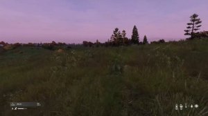 игровой кинотеатр - DayZ