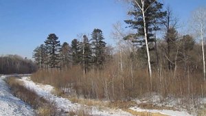 Зимние видеопейзажи Анучинского района, февраль 2019 г.