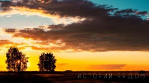 Неделю назад Маша подслушала разговор мужа и тогда у неё созрел план…