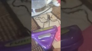 Расчёски для Мейн Куна