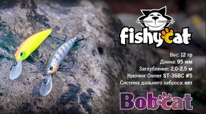 Fishycat Bobcat 95DSP в действии. 
Техника и способы проводки.
