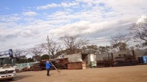 Японская электрометла