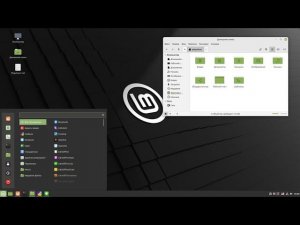 Linux Mint 20.3 Cinamon - первые впечатления и проблемы!