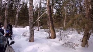 СНЕГОХОД 2021. СТЕЛС СТАВР, ТУНГУС 500;600!!! ПРОТОТИП ИРБИС СФ150; СТЕЛС КАПИТАН; ДИНГО 150Т!!!