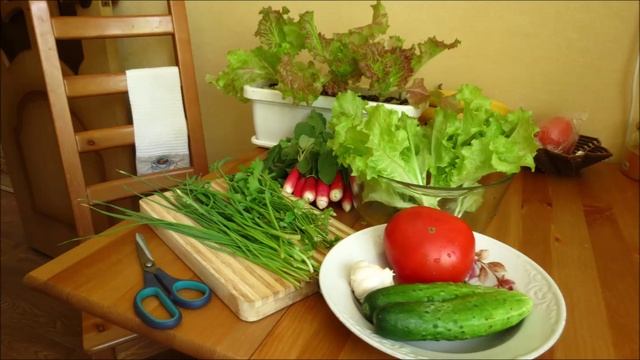 Как вырастить салат на балконе смотреть онлайн