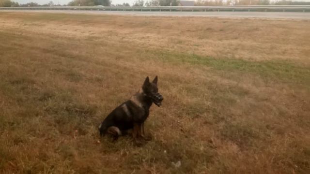 8 уровень. Олимп выполнил восьмой уровень команды сидеть. смотреть онлайн