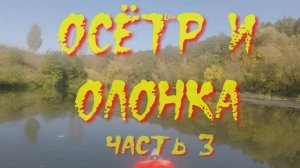 Осетр и Олонка 2023. Часть 3