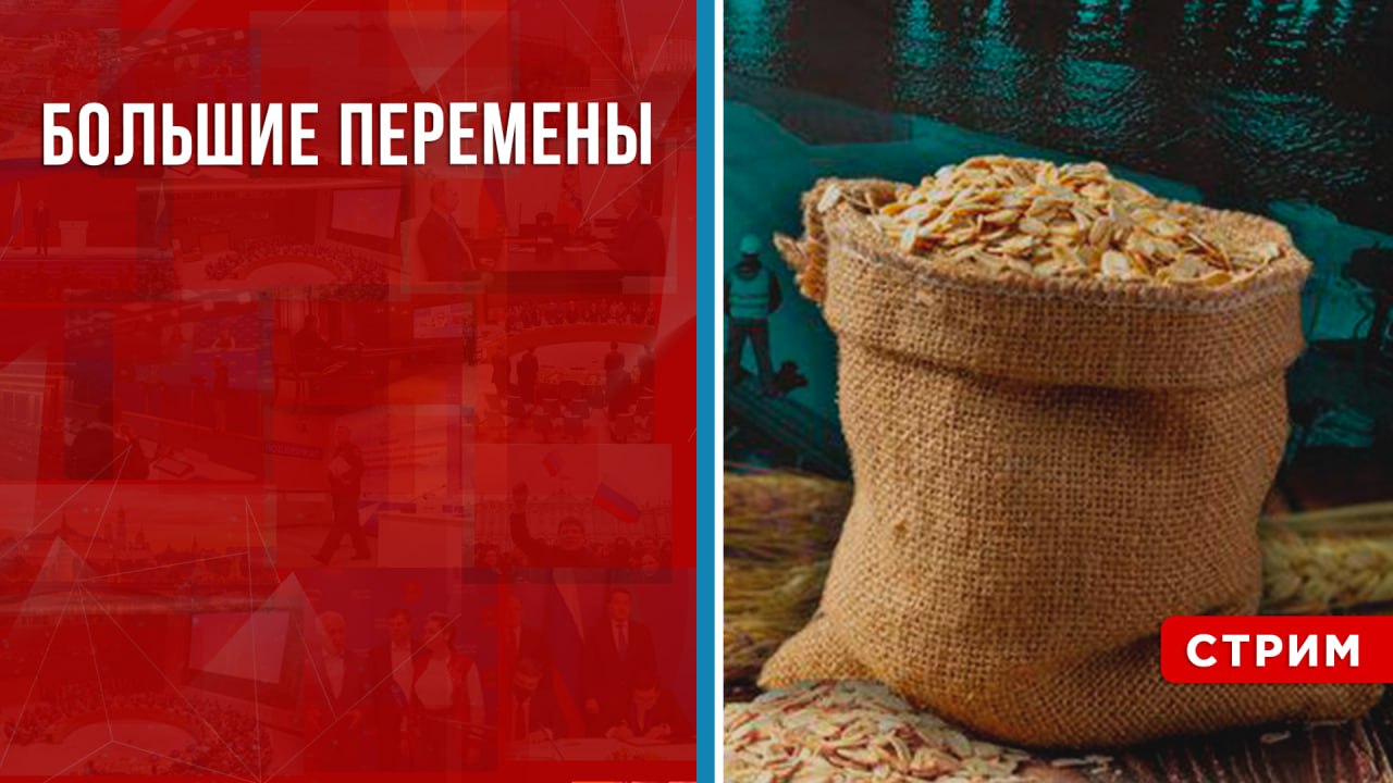 Большие перемены [Геворг Мирзаян. СТРИМ]
