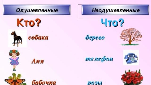 Выберите одушевленное имя существительное дом мяч стол конь