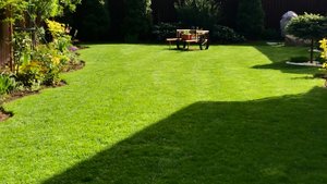 Газон, как избавиться от проплешины