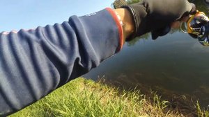 Jackall Rerange 110SP Dragon Fruit Mat Tiger - ловит и долавливает щук