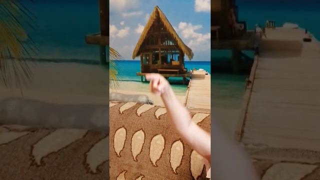 Дрессировка ласточки смотреть онлайн