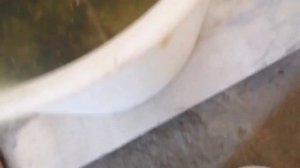 Как сохранять живца круглый год. Часть 2. Живец в гараже.