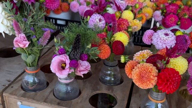 Fall Amish Mennonite Market Lancaster County PA смотреть онлайн