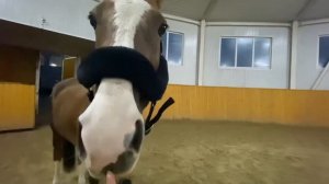 КОНОВЛОГ # 3 \\ Самое длинное видео на моем канале 😱