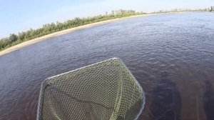 Рыбалка на реке Тавда в аномальную августовскую жару