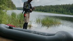 В лес за прохладой