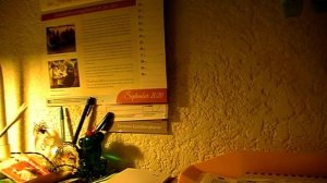 Паразиты, псориаз, кожный зуд. Лечение лисичками!!!