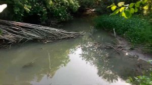 Река Биюк-карасу: первая рыбалка на 1 июня 2022 г. вторая часть