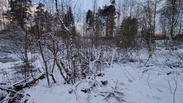 Расчистка участка зимой!