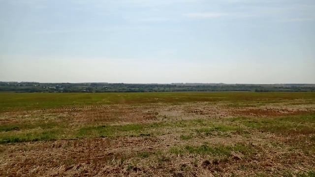 Поле Куликово: в центре места битвы "меж полков"...