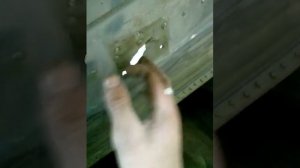 Обзор лодки Днепр