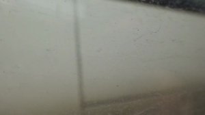 Зеленоград, автобус 32, участок 16-й микрорайон - Супермаркет Проспект