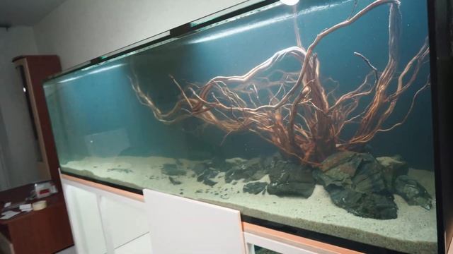 Как настроить перелив Херби. Быстрая настройка самого тихого перелива в аквариуме. смотреть онлайн