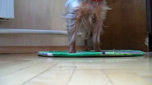 Изображение фото 085 смотреть онлайн