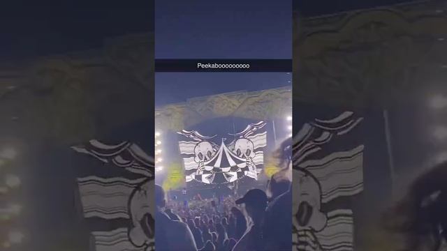 Peekaboo set Lost Lands 2021