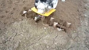 Мотоблок Каскад,Гусиные лапки перед посадкой картошки.